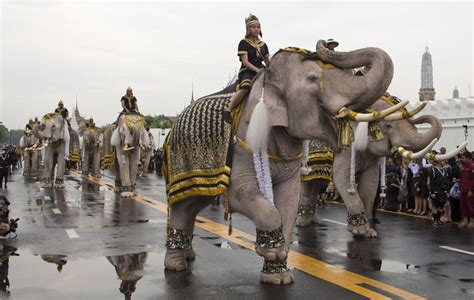  The White Elephant: A Thai Tale of Power, Fortune, and Unforeseen Consequences?